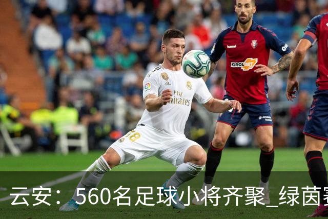 云安：560名足球小将齐聚 绿茵赛场逐梦争锋