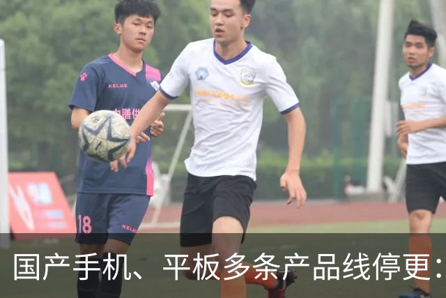 国产手机、平板多条产品线停更：发得越多 亏得越狠