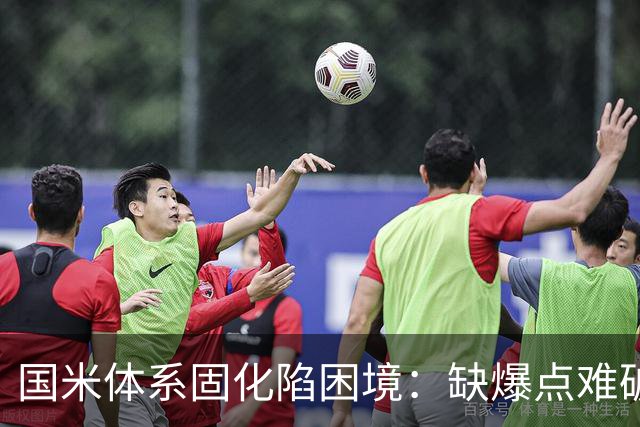 国米体系固化陷困境：缺爆点难破欧冠瓶颈，齐沃如何破局
