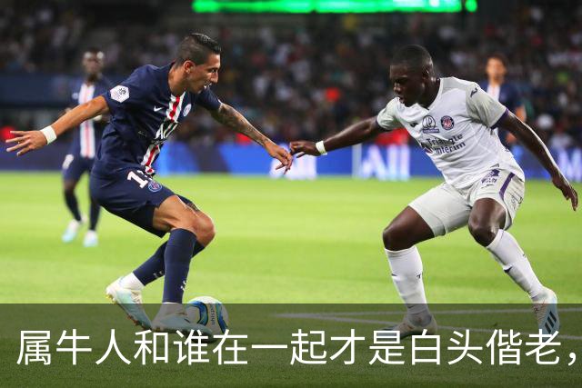 属牛人和谁在一起才是白头偕老，幸福生活到晚年