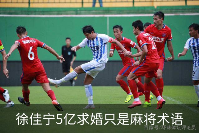 徐佳宁5亿求婚只是麻将术语