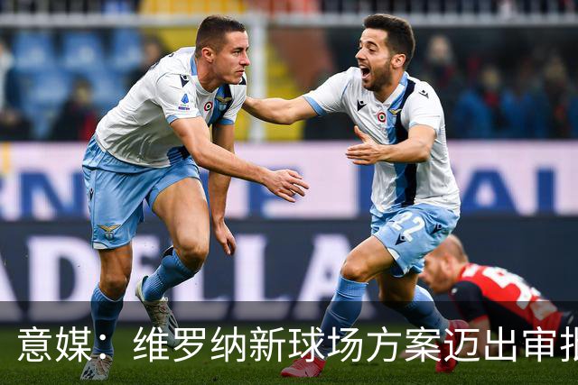 意媒：维罗纳新球场方案迈出审批第一步