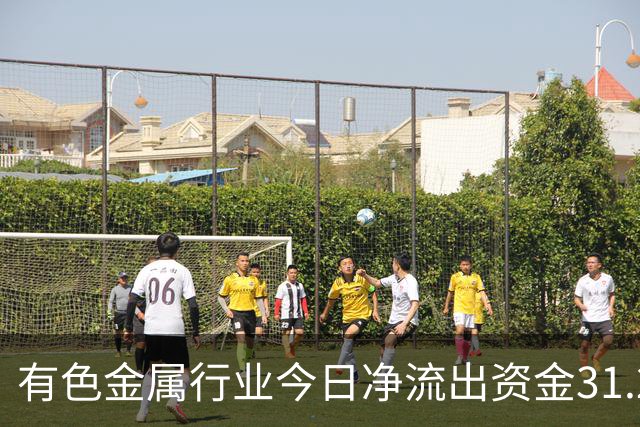 有色金属行业今日净流出资金31.22亿元，紫金矿业等6股净流出资金超亿元