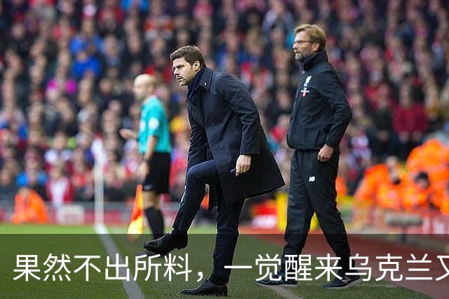 果然不出所料，一觉醒来乌克兰又出尔反尔，拒绝割让25%领土了！