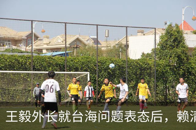 王毅外长就台海问题表态后，赖清德放话：大陆若动武，会以一对多
