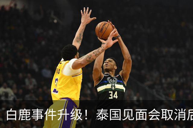 白鹿事件升级！泰国见面会取消后，缅北视频又被扒，黑历史曝光