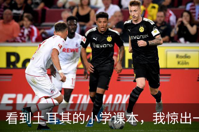 看到土耳其的小学课本，我惊出一声冷汗！世界属于他们