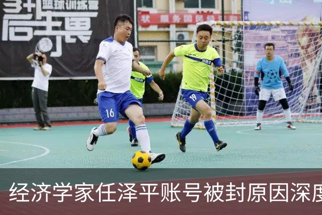 经济学家任泽平账号被封原因深度分析