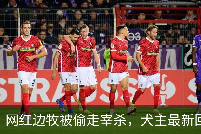 网红边牧被偷走宰杀，犬主最新回应：对方赔偿30万元，我将一分不留全捐出去！