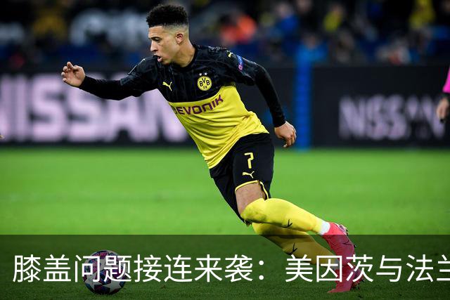膝盖问题接连来袭：美因茨与法兰克福各折一员