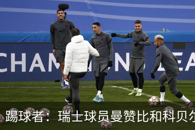 踢球者：瑞士球员曼赞比和科贝尔在科帕奖和雅辛奖双双垫底